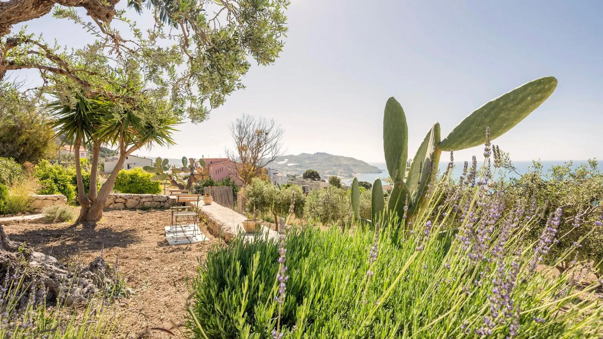Apartment Appartamento Turistico L'Ulivo Marina di Palma